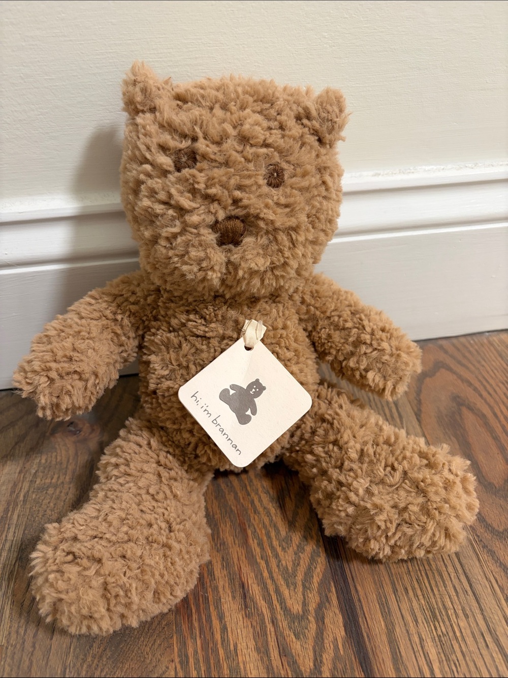 Baby Gap teddy bear NWT
